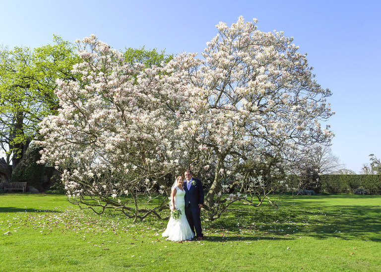 A bride and groom stood in front of a very old magnolia tree in full flower on their wedding day at Haughley Park Barn Wedding Venue photographed by Suffolk Wedding Photographers Hayley Denston Photography
