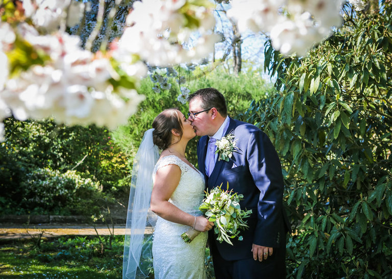 A bride and groom kissing on their wedding day underneath white cherry blossom on their wedding day at Haughley Park Barn Wedding Venue photographed by Suffolk Wedding Photographers Hayley Denston Photography