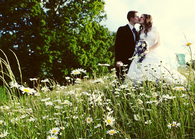 A bride and groom kissing on a hillside of Ox-eye daisies on their wedding day at Haughley Park Barn Wedding Venue photographed by Suffolk Wedding Photographers Hayley Denston Photography