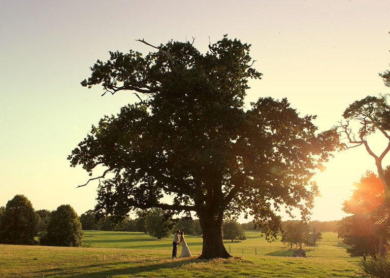 A bride and groom kissing underneath a giant oak tree at sunset in the parkland on their summer wedding day at Haughley Park Barn Wedding Venue photographed by Suffolk Wedding Photographers Hayley Denston Photography