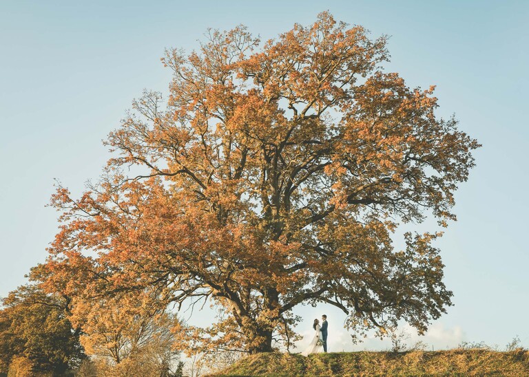 A photograph of a bride and groom on their wedding day at Easton Grange Wedding Venue underneath an old oak tree