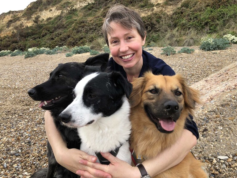 Photo of beautiful rescue dogs with their owner on a beach photographed by Suffolk Pet Photographers Hayley Denston Photography