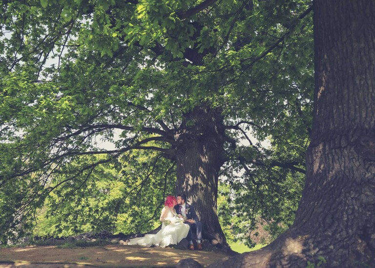 A bride and groom sat under an oak tree in the Abbey Gardens in Bury St Edmunds on a wedding day in Suffolk captured by Suffolk Wedding Photographers Hayley Denston Photography