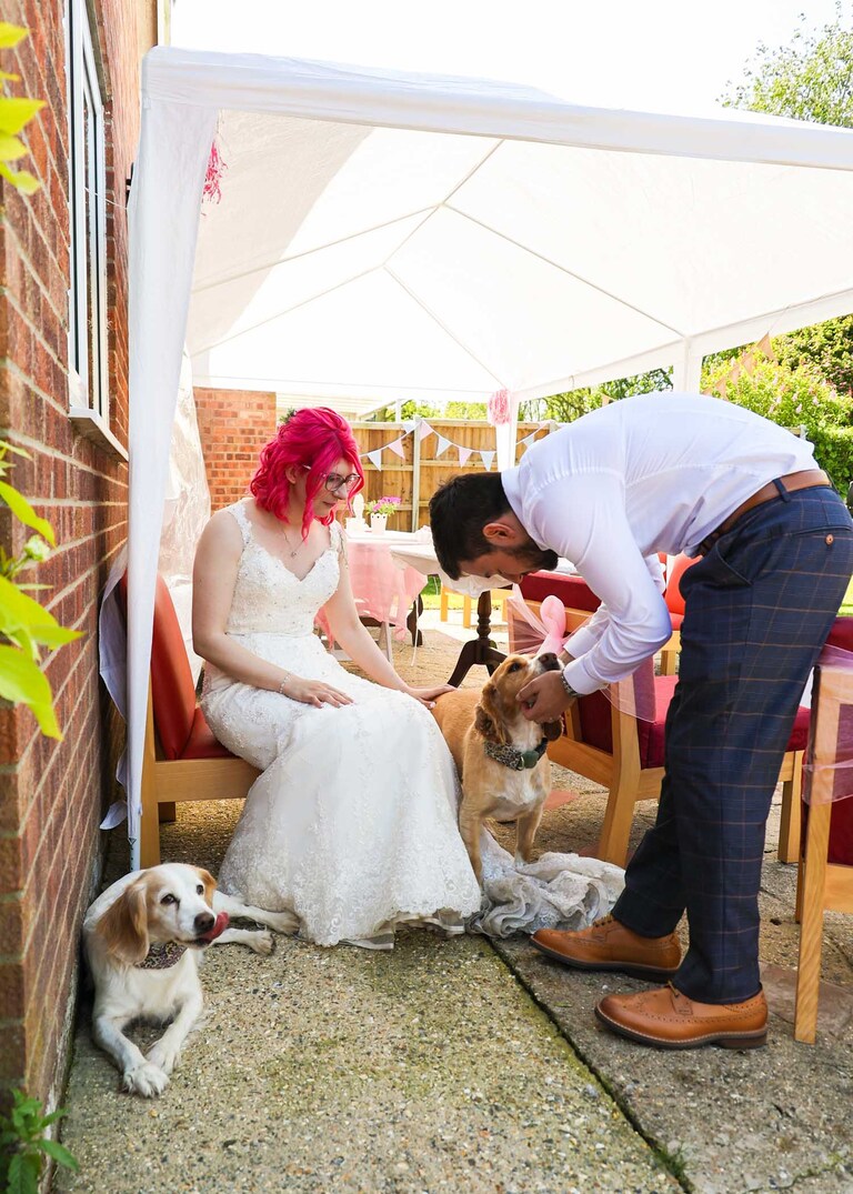 A bride sat with her dogs and groom in a back garden at their wedding reception on a wedding day in Suffolk captured by Suffolk Wedding Photographers Hayley Denston Photography