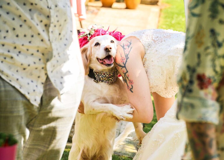 A dog cuddling her mum (the bride) on a wedding day in Suffolk captured by Suffolk Wedding Photographers Hayley Denston Photography
