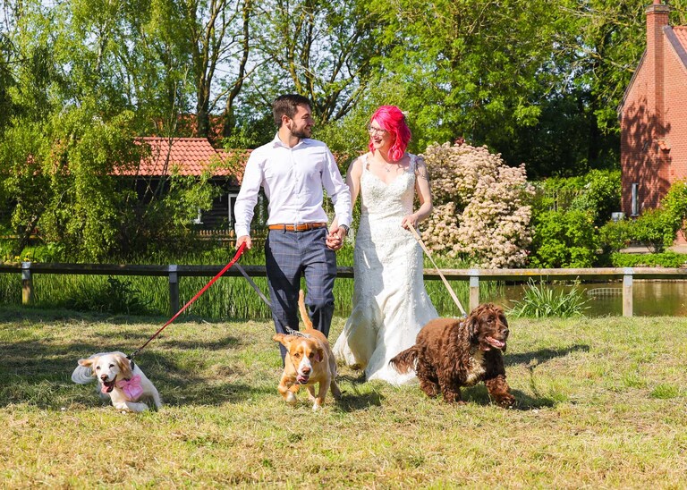 A bride and groom walking their three dogs on their wedding day in Suffolk captured by Suffolk Wedding Photographers Hayley Denston Photography