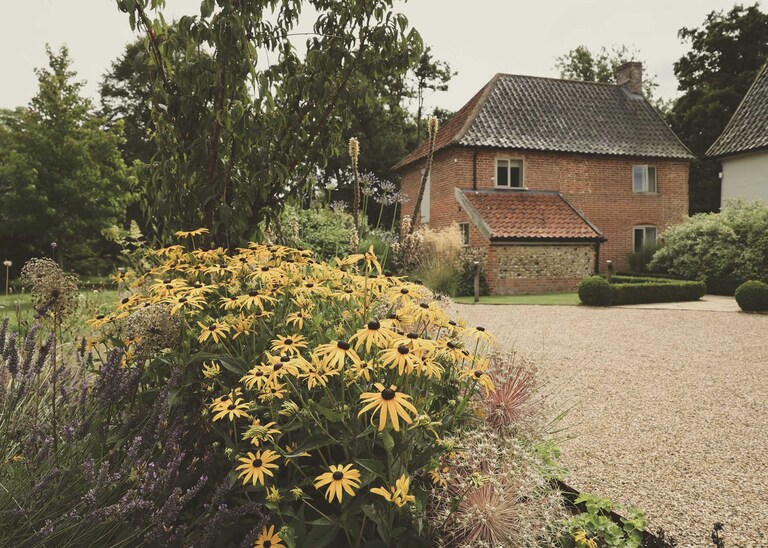 Beautiful yellow ruebeckia with the bakehouse and farmhouse in the background at Easton Grange on a Wedding Day photographed by Suffolk Wedding Photographers Hayley Denston Photography