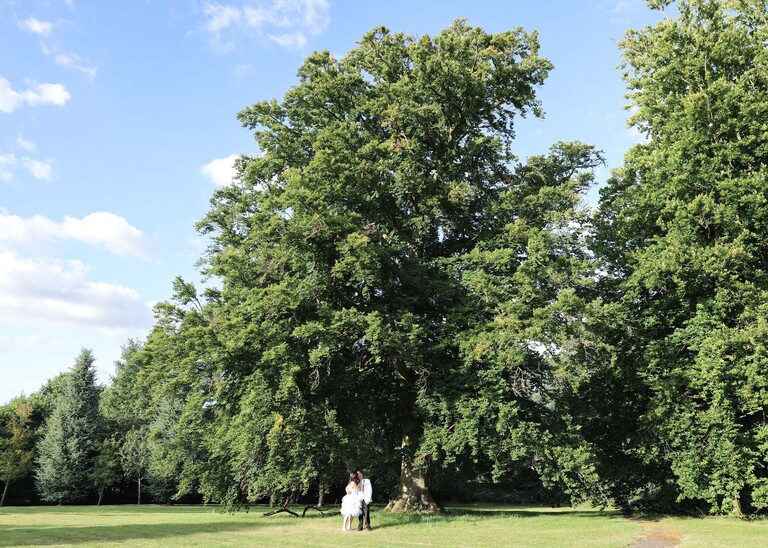 A bride and groom kissing under a giant tree on a wedding day at Swynford Manor in Suffolk Captured by Suffolk Wedding Photographer Hayley Denston Photography