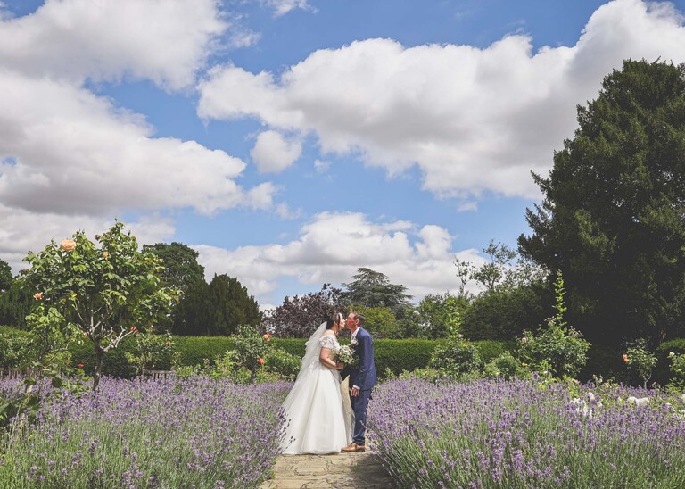 A bride and groom kissing whilst surrounded by lavender and blue skies in the abbey gardens in bury st edmunds on a wedding day captured by suffolk wedding photographer Hayley Denston Photography
