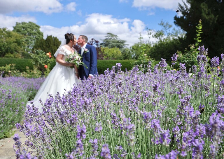 A ball of lavender with a bride and groom kissing in soft focus in the background in bury st edmunds abbey gardens on a wedding day captured by suffolk wedding photographer Hayley Denston Photography
