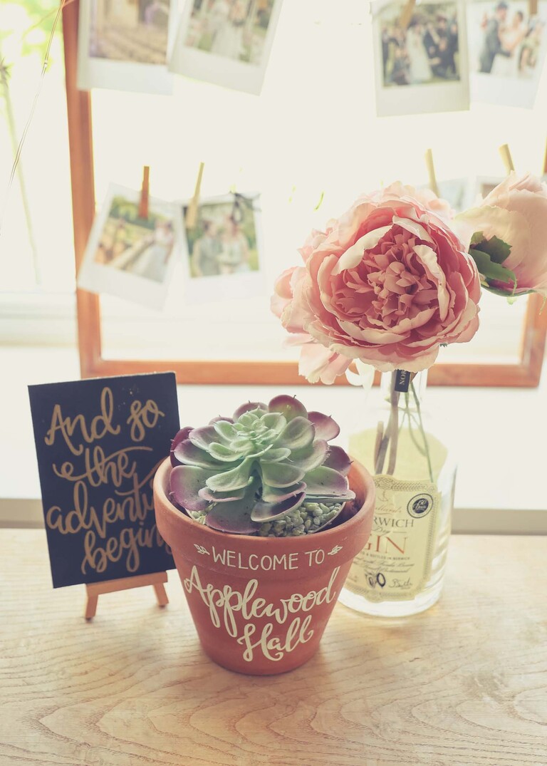 A terracota flower pot with a succulent in on a wedding day at Applewood Hall in Norfolk captured by suffolk and norfolk wedding photographer Hayley Denston Photography