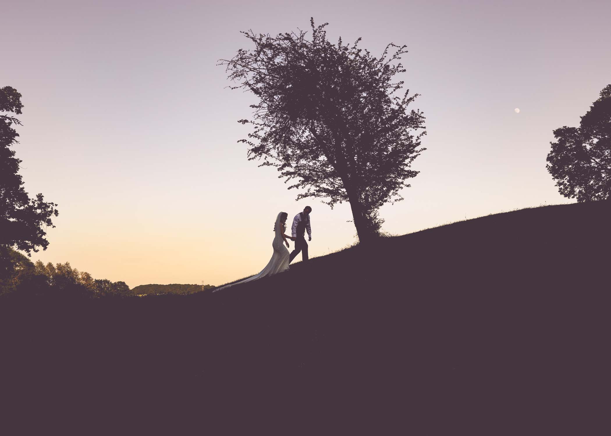 A bride and groom in silhouette climbing a hill with a tree on at sunset on a wedding day at Haughley Park Barn photographed by suffolk wedding photographer Hayley Denston Photography